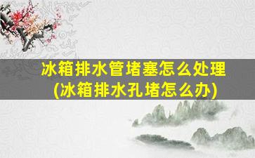冰箱排水管堵塞怎么处理(冰箱排水孔堵怎么办)