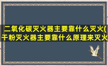 二氧化碳灭火器主要靠什么灭火(干粉灭火器主要靠什么原理来灭火)