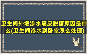 卫生间外墙渗水墙皮脱落原因是什么(卫生间渗水到卧室怎么处理)