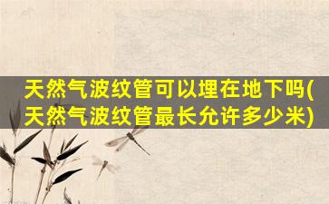 天然气波纹管可以埋在地下吗(天然气波纹管最长允许多少米)
