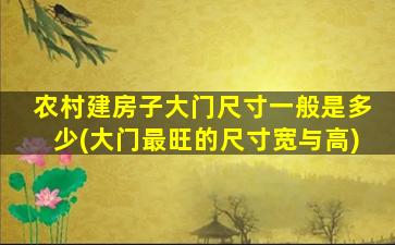 农村建房子大门尺寸一般是多少(大门最旺的尺寸宽与高)