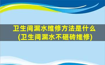 卫生间漏水维修方法是什么(卫生间漏水不砸砖维修)