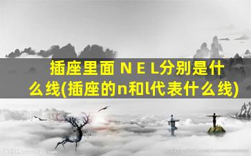 插座里面 N E L分别是什么线(插座的n和l代表什么线)