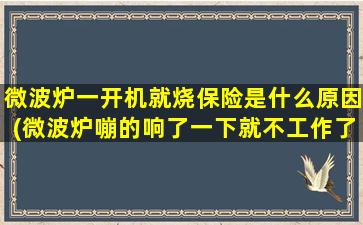 微波炉一开机就烧保险是什么原因(微波炉嘣的响了一下就不工作了)