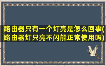 路由器只有一个灯亮是怎么回事(路由器灯只亮不闪能正常使用吗)