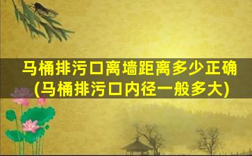 马桶排污口离墙距离多少正确(马桶排污口内径一般多大)