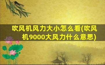 吹风机风力大小怎么看(吹风机9000大风力什么意思)