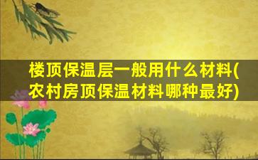 楼顶保温层一般用什么材料(农村房顶保温材料哪种最好)