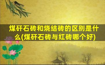 煤矸石砖和烧结砖的区别是什么(煤矸石砖与红砖哪个好)