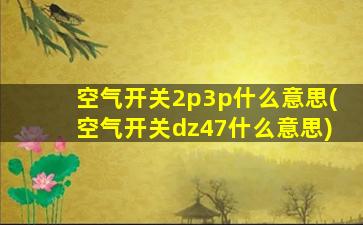 空气开关2p3p什么意思(空气开关dz47什么意思)