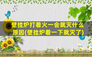 壁挂炉打着火一会就灭什么原因(壁挂炉着一下就灭了)