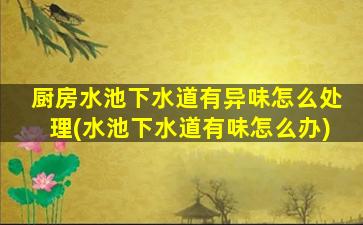 厨房水池下水道有异味怎么处理(水池下水道有味怎么办)