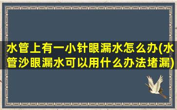 水管上有一小针眼漏水怎么办(水管沙眼漏水可以用什么办法堵漏)