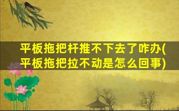 平板拖把杆推不下去了咋办(平板拖把拉不动是怎么回事)