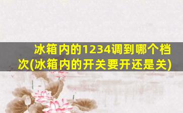冰箱内的1234调到哪个档次(冰箱内的开关要开还是关)