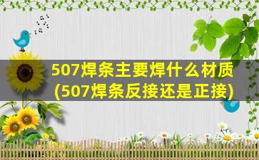 507焊条主要焊什么材质(507焊条反接还是正接)