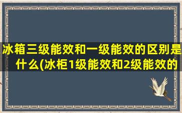 冰箱三级能效和一级能效的区别是什么(冰柜1级能效和2级能效的区别)