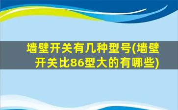 墙壁开关有几种型号(墙壁开关比86型大的有哪些)