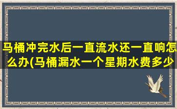 马桶冲完水后一直流水还一直响怎么办(马桶漏水一个星期水费多少钱)