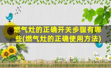 燃气灶的正确开关步骤有哪些(燃气灶的正确使用方法)