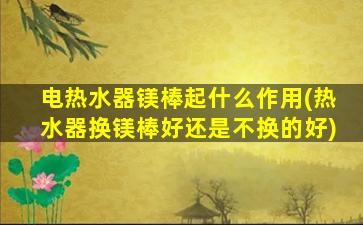 电热水器镁棒起什么作用(热水器换镁棒好还是不换的好)
