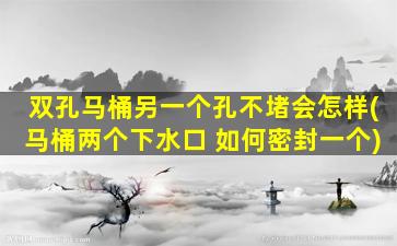 双孔马桶另一个孔不堵会怎样(马桶两个下水口 如何密封一个)