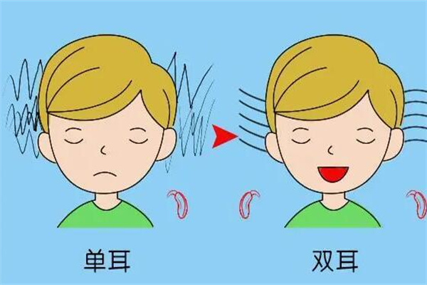 双耳效应：两耳之间的各种差异来分辨声音的位置(可生源定位)