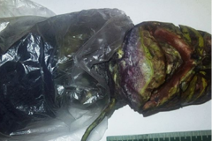 俄罗斯女孩用冰箱保存2年外星人尸体：长60厘米(真假未知)