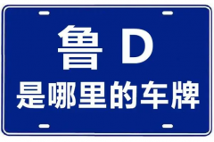 鲁D是哪里的车牌号?山东省枣庄市(鲁A为济南车牌代码)