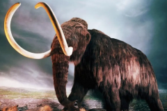 4种即将复活的灭绝动物：猛犸象/巨型麋鹿等(第一最有名)