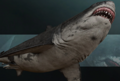 日本深海拍到了巨齿鲨：巨齿鲨或从未灭绝(谣言)