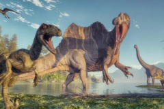 恐龙是第几次生物大灭绝?第五次(人类认知中著名灭绝事件)