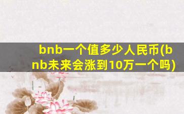 bnb一个值多少人民币(bnb未来会涨到10万一个吗)