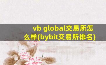 vb global交易所怎么样(bybit交易所排名)
