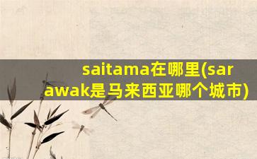 saitama在哪里(sarawak是马来西亚哪个城市)