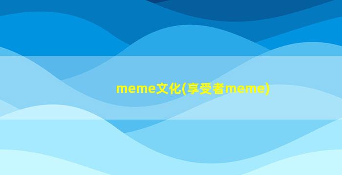 meme文化(享受者meme)