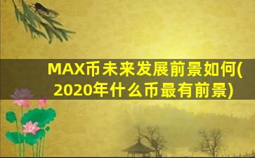 MAX币未来发展前景如何(2020年什么币最有前景)