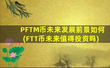 PFTM币未来发展前景如何(FTT币未来值得投资吗)