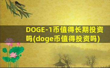 DOGE-1币值得长期投资吗(doge币值得投资吗)