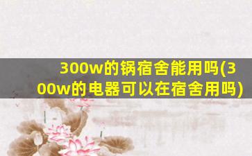 300w的锅宿舍能用吗(300w的电器可以在宿舍用吗)