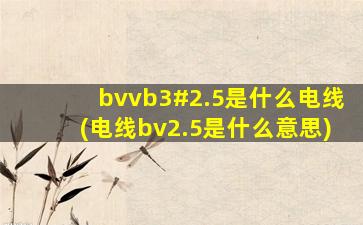 bvvb3#2.5是什么电线(电线bv2.5是什么意思)