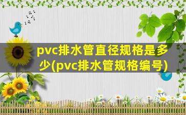 pvc排水管直径规格是多少(pvc排水管规格编号)