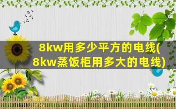8kw用多少平方的电线(8kw蒸饭柜用多大的电线)
